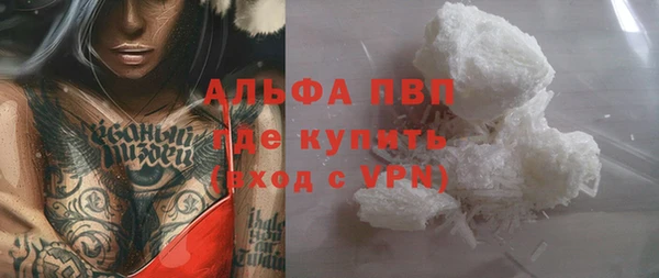 гидра Абаза