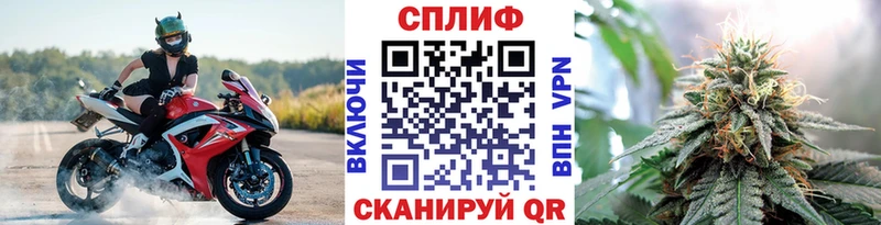 Бошки марихуана семена  Данилов 